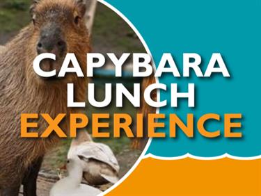 Image for: Capybara Lunch Experience 